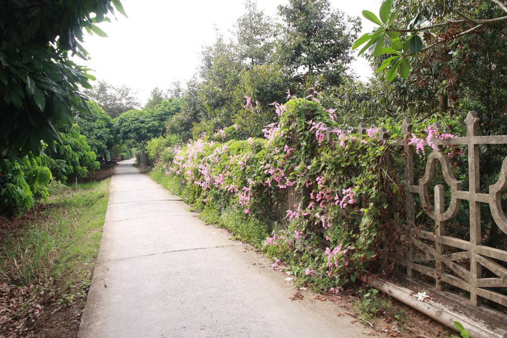 Mekong Rustic Cai Be Apartment Exterior foto