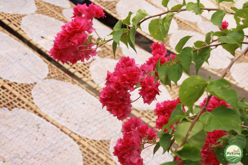 Mekong Rustic Cai Be Apartment Exterior foto
